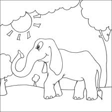 Elephant 1